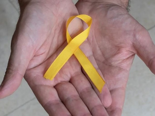 Suicidios: el desaf�o de hablar de lo que no se habla